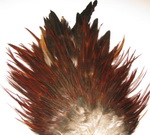 DF  Indian saddle dk brown # 1